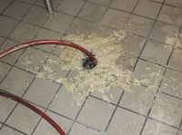 Small image of drain clog found during hydrojetting