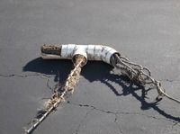 Small image of drain clog found during hydrojetting