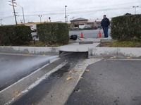 Small image of drain clog found during hydrojetting